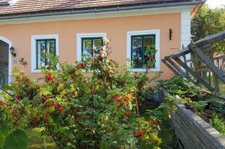 Ferienwohnung Beerengarten - - 0