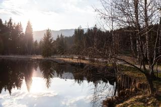Bruggerhof - Camping, Restaurant, Hotel - Kitzbühel - 8