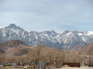 Lone Pine Budget Inn - 1