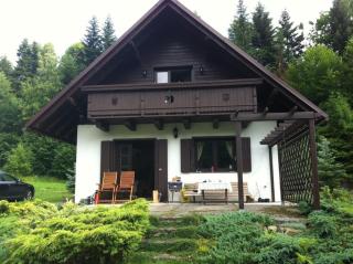 WISŁA-DOM PRZY RZECE - Wisła - 9