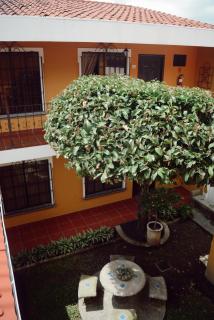 Hotel Villa Terra - 2