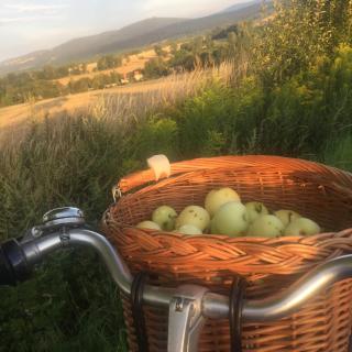 Nietuzinkowo Dom - 1