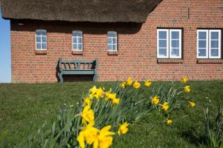 Paulas Haus - Pellworm - 7