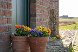 Paulas Haus - Pellworm - 4