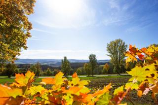 Pension Haus Fürstenberg - 2