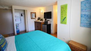 Kuhio Village 810A KING Studio, Waikiki Ocean View! - Honolulu - 9