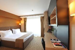 Crystal Palace Hotel - Bucharest - 3