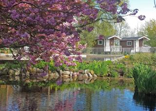B&B Welgelegen - Workum - 7