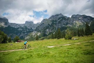 Berg&Selig Apartment - Pfarrwerfen - 5