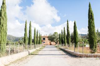 Finca Es Cabàs - Santa Maria del Camí - 0