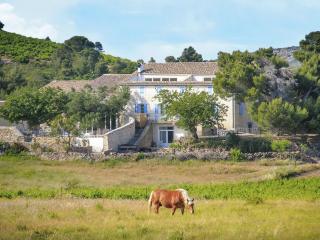 Charming flat in que with jacuzzi - Villesèque-des-Corbières - 5