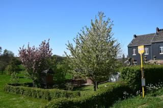 Mille Fleurs - apartments - Voeren - 6