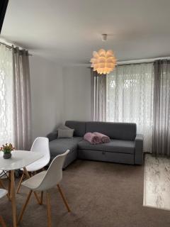 Apartament u Gogoca II - Tylicz - 4