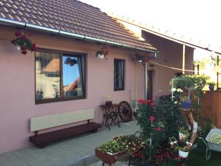Casa rustica cu terasa - Mediaş - 0