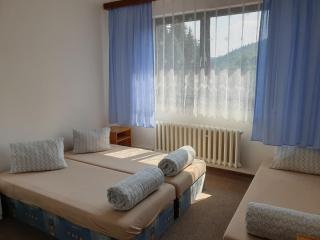 Sporthotel Můstek - Jáchymov - 4
