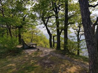 Apartment an der Mosel 1 - Graach - 4