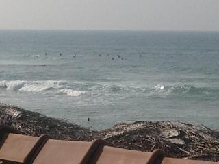 Budde's Beach Restaurant & Guesthouse - 9