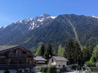 Le Chamoniard Volant - Chamonix-Mont-Blanc - 8