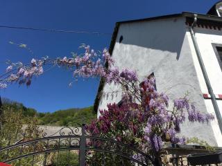 Alter Winzerhof - 8