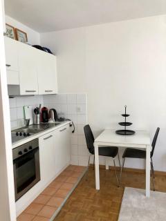 The Paquis Oasis in Central Geneva - Ginevra - 5