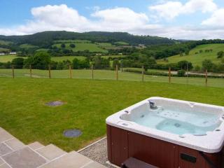 Tyn Y Celyn Canol - Clocaenog - 9
