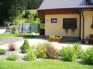 Apartmány Novákovi - Dolní Morava - 5
