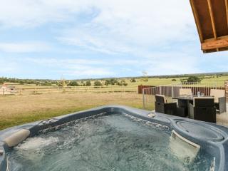 Swan Lodge Castle Farm - Wedmore - 9