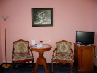 Hotel Opera - Praga - 7