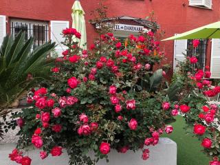 Hotel Danemark - Nice - 9