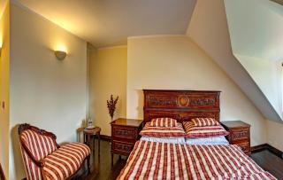 Hotel Buchlov - Buchlovice - 9