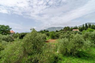 Guest House Kola - Slano - 4