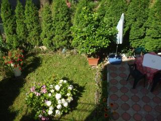 Vila Ana-Maria - Sinaia - 5