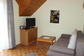 Ferienhaus Drobesch - Sankt Kanzian - 1