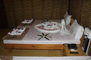 Gir Jungle Lodge - 7