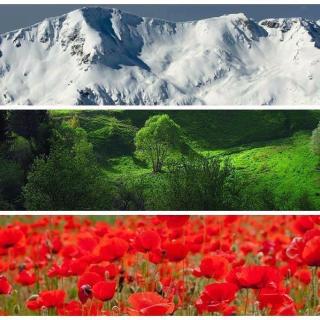 Апартаменти Ковачева - Bansko - 8