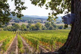 Holiday home with exclusive swimming pool in the Tuscan Maremma - 1