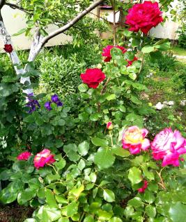 ShymHostle - Shymkent - 9