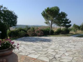 Agriturismo Podernuovo - Asciano - 7