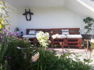 A Quinta das Bolboretas - Sanxenxo - 1