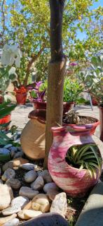 Katy's House Center - Neos Marmaras - 2