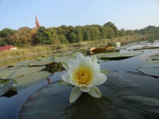 Agroturystyka Chycina - Chycina - 3