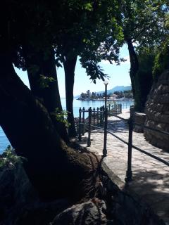 Green Leaf - Rijeka - 1