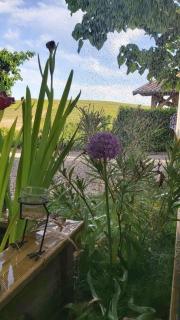 La Maison des Vignes - Charentay - 3