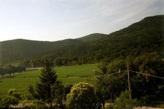 Villa Amedeo - Rosia - 6