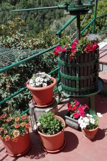 Casa Ofelia - Levanto - 7