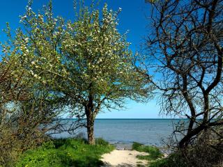 FIP Park Achtern Diek - Poel - 1