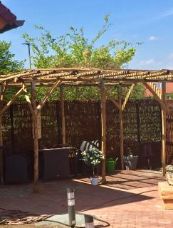 Tinyhouse Bamberg - Pettstadt - 3