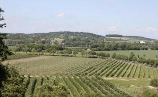 Ferienwohnung Zum Saaletalblick - Naumburg - 1