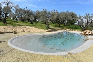 CASE&COLLINE Villa Lorena - Montescudaio - 8