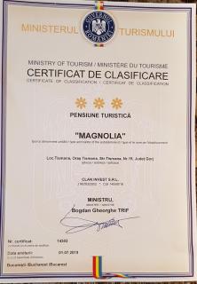 Pensiunea Magnolia din Tismana - Tismana - 3